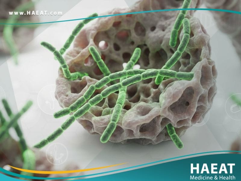 _الجمرة الخبيثة