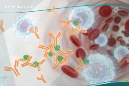 _الحساسية للأدوية