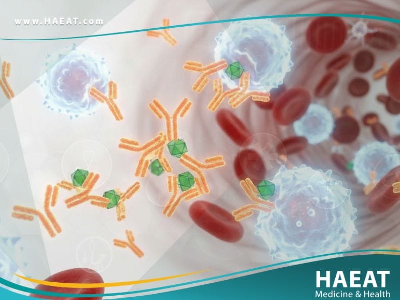 _الحساسية للأدوية