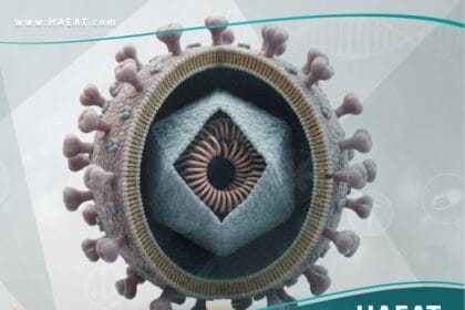 الحصبة الألمانية