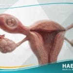 الحمل خارج الرحم