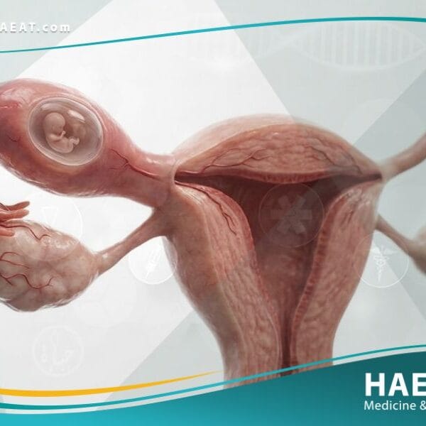 الحمل خارج الرحم