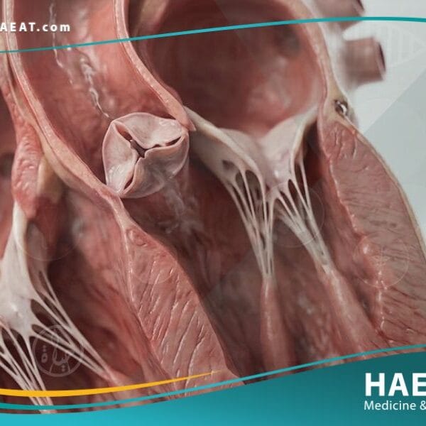 الصمام الابهري