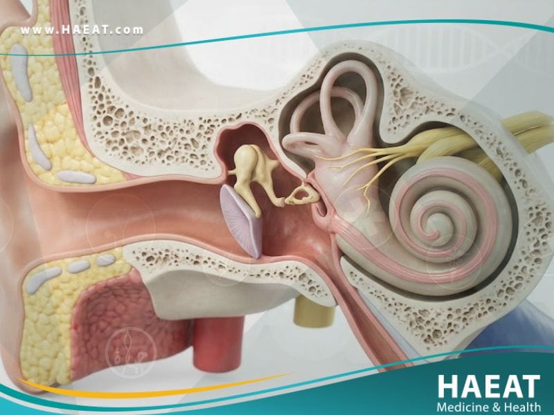 الصمم الخلقي في الأذن الداخلية