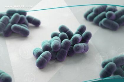 العصيات الراكدة