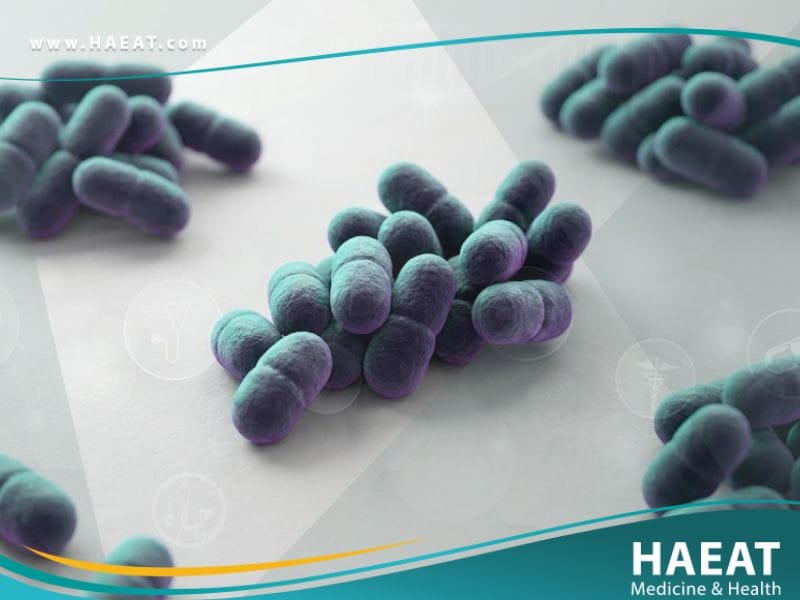 العصيات الراكدة