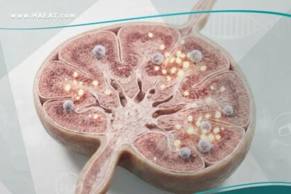 العوز المناعي