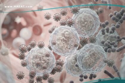 العوز المناعي الثانوي