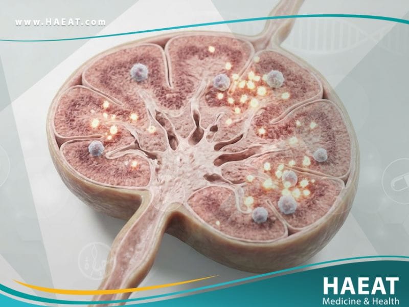 العوز المناعي