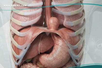 الفتق الحجابي