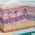 الفطار الفطراني