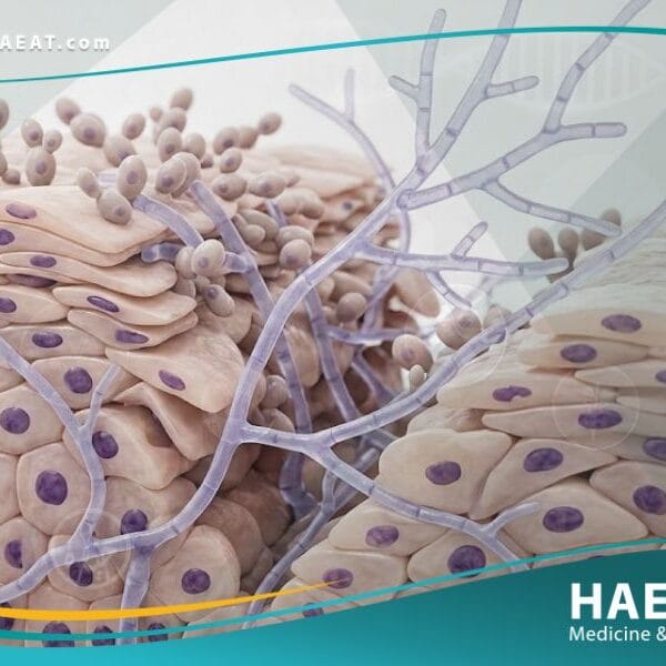 الفطريات المهبلية