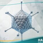 الفيروسات الغدانية