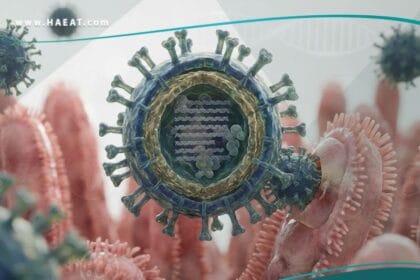 _الفيروسات المعوية (1)