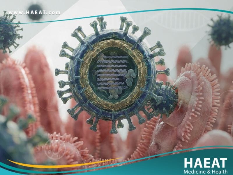 _الفيروسات المعوية (1)