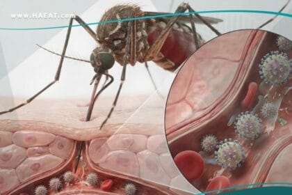 الفيروسة المنقولة بالمفصليات