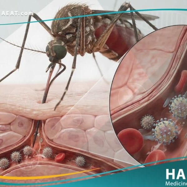 الفيروسة المنقولة بالمفصليات