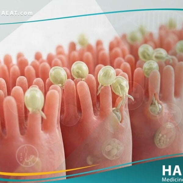 الكريبتوسبوريديوم