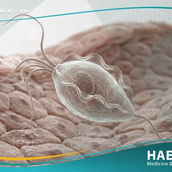 المشعرات المهبلية