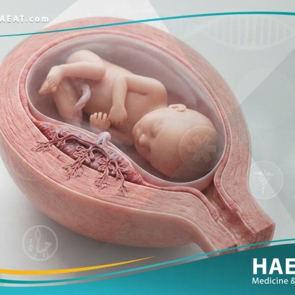 المشيمة الملتصقة