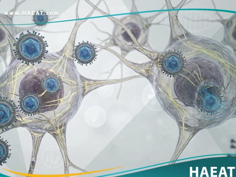 الهربس التناسلي