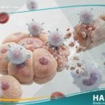 امراض المناعة الذاتية
