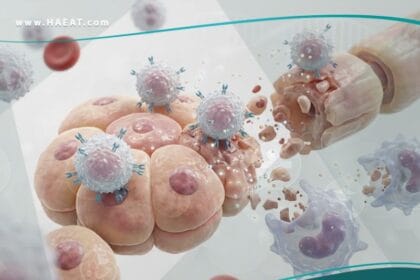 امراض المناعة الذاتية