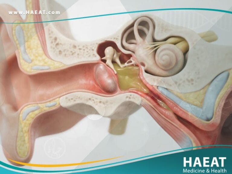 انسداد النفير