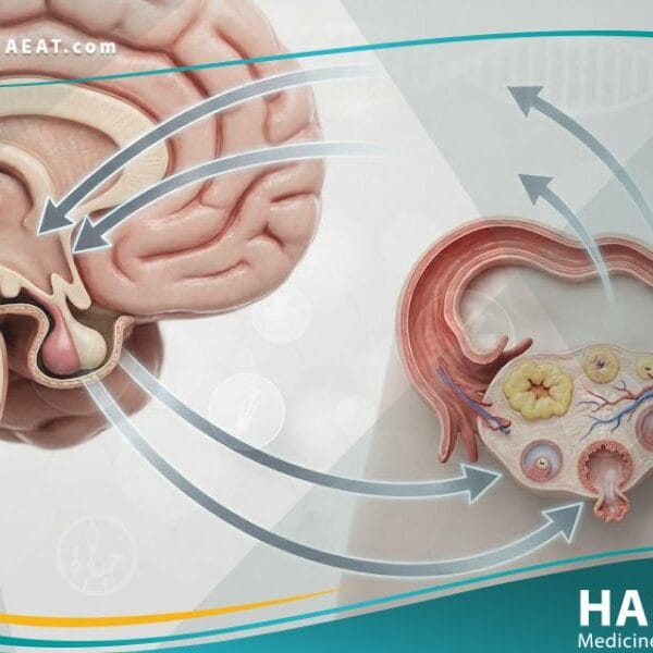 انقطاع الحيض