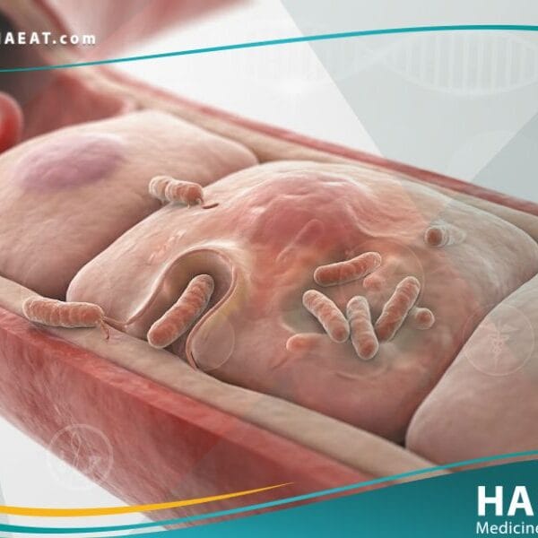 _حمى البحر المتوسط المبقعة