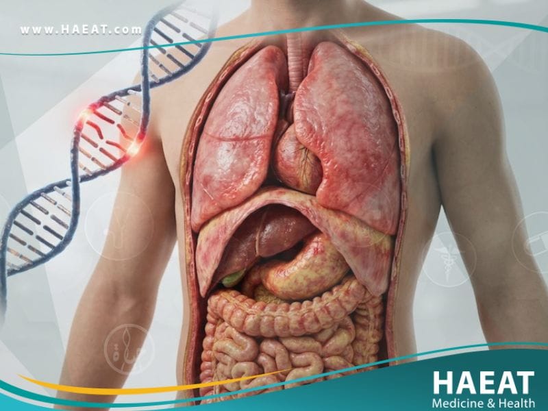 حمى البحر المتوسط