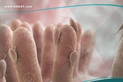 داء الجيارديات