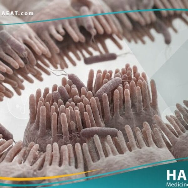 _داء الليستريات