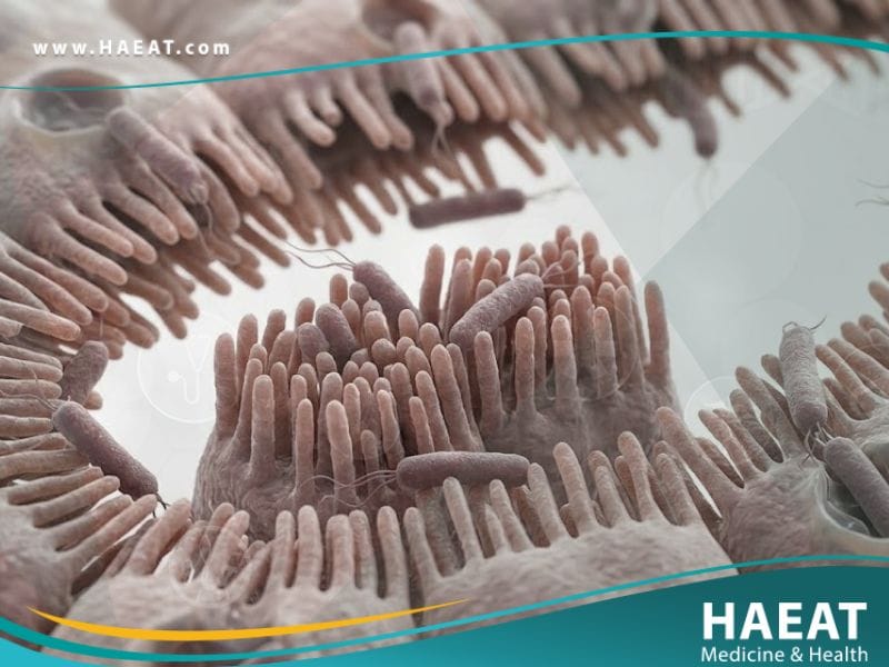 _داء الليستريات