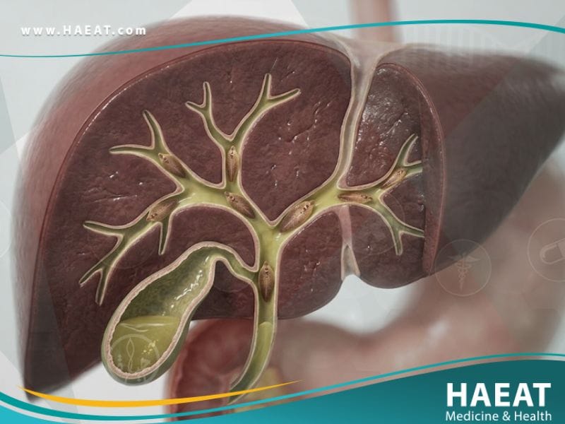 _داء المتورقات