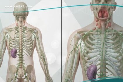 داء كثرة الوحيدات