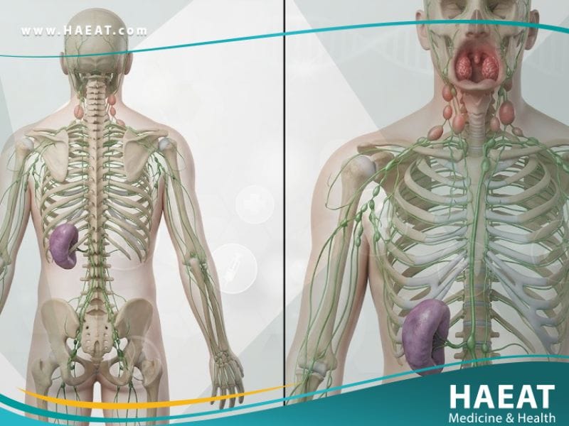 داء كثرة الوحيدات