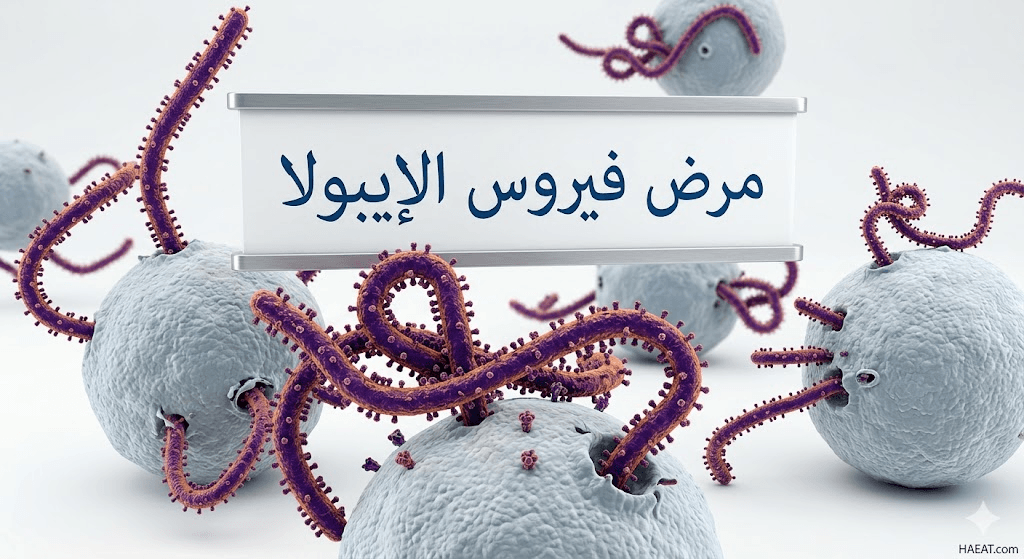 مرض فيروس الإيبولا | 7 حقائق عن الأعراض، الأسباب، والعلاج 20 image 181