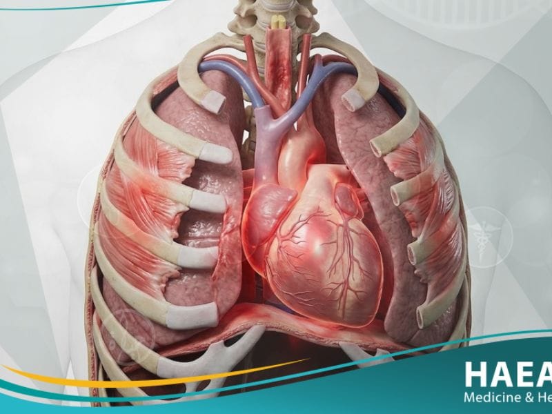 _ألم الصدر اللا قلبي