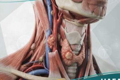 أورام أولية بالعنق