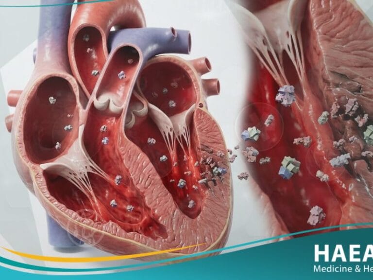 إنزيمات القلب