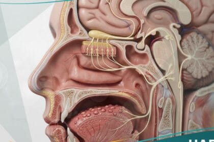 _اضطرابات الطعم والرائحة
