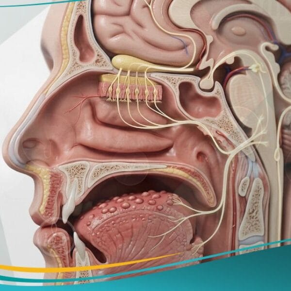 _اضطرابات الطعم والرائحة