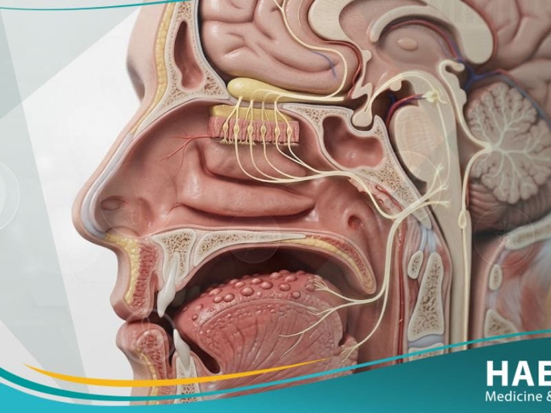 _اضطرابات الطعم والرائحة