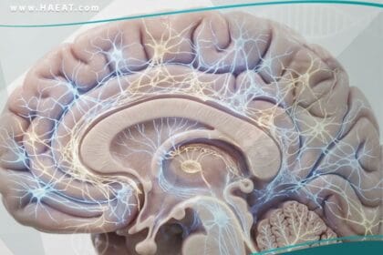_اضطرابات النمائية الشاملة