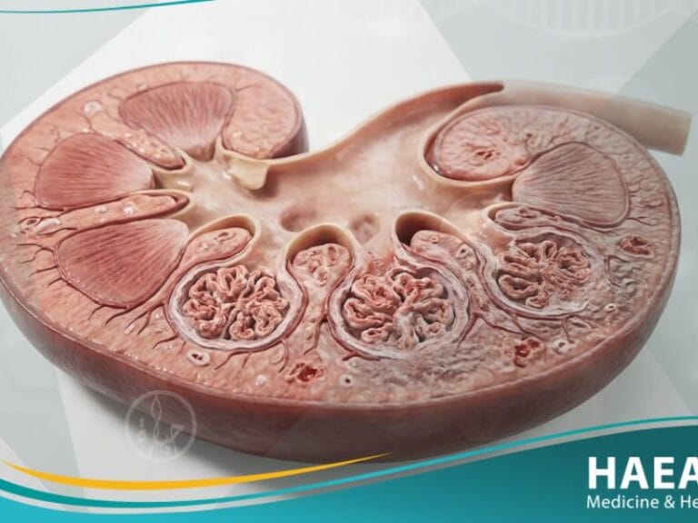 _اعتلال الكلية السكري