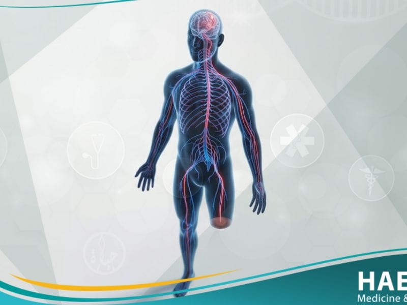 الآلام الشبحية (1)