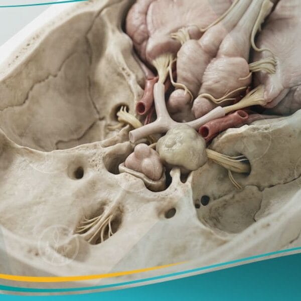 _الأورام وجراحة قاعدة الجمجمة