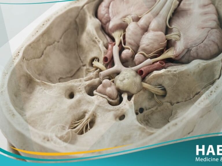 _الأورام وجراحة قاعدة الجمجمة