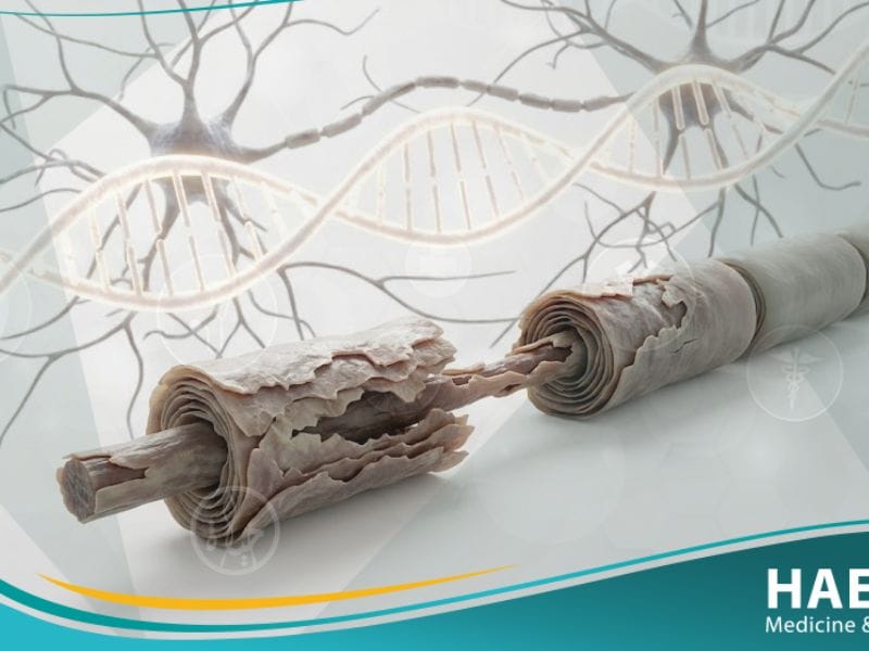 الاعتلال العصبي الوراثي